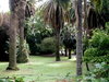 Jardim Tropical
Posted on 29th Apr,2007 
09:06:49 PM
Average Rating=7.00