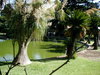 Jardim Tropical 2
Posted on 5th May,2007 
01:07:33 PM
Average Rating=6.00